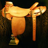 Douglas 38 Wade - tree by Rick Reed, 15 and 1/4 inch seat, Gullet - 7 and 1/2 inch by 6 and 1/4 inch by 4 inch, Horn 3 inch round, 90 degree bars, 7/8ths flat palte riggin, Cheyenne Roll, Sheridan Style Floral Carving bordered with Vaquero Lace.